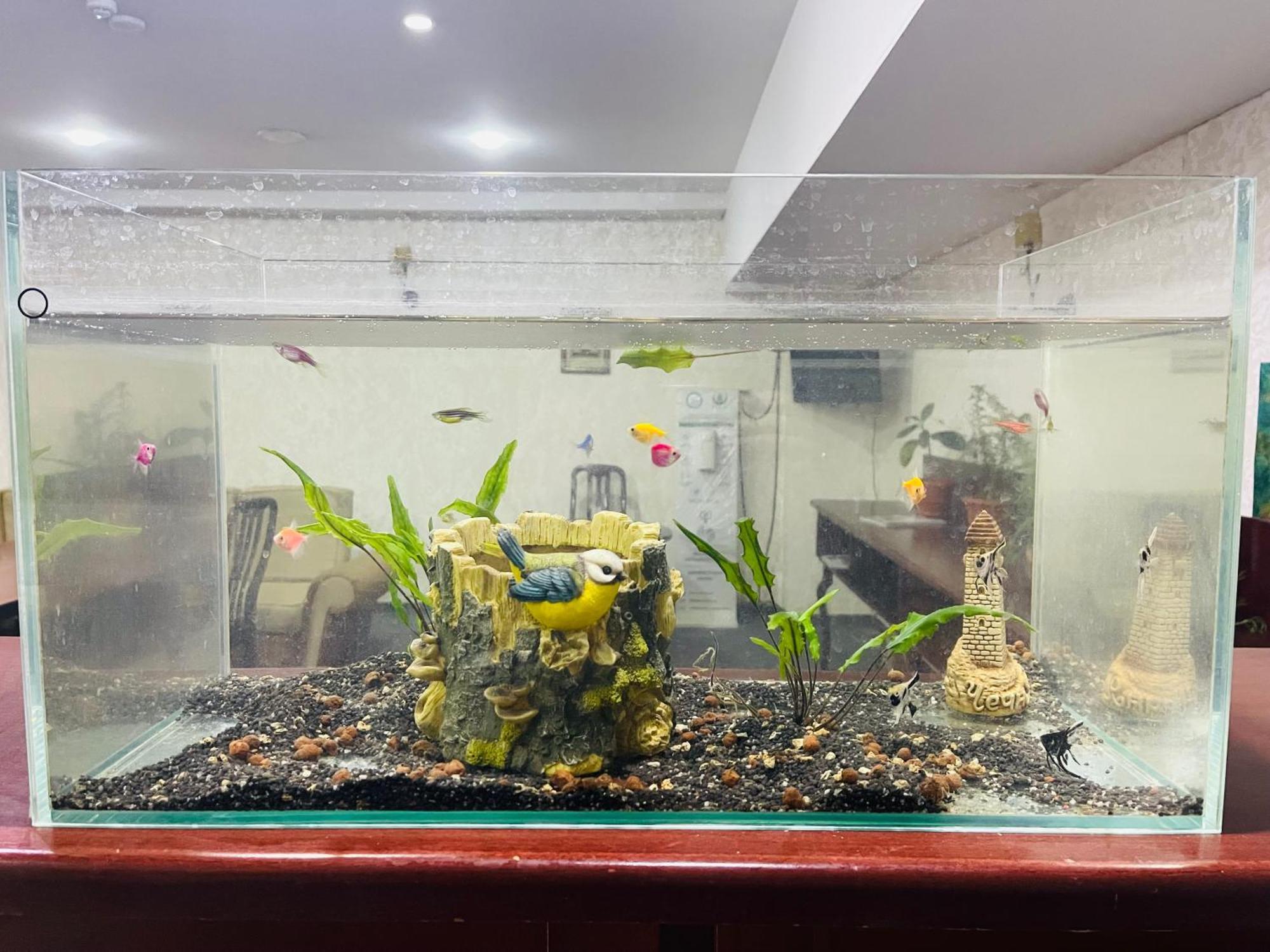 Abu Arena Hall 巴库 外观 照片